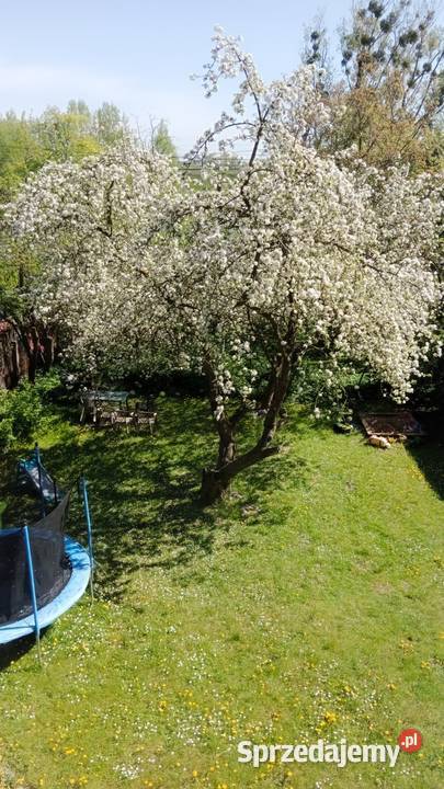 3 duże pokoje garaż w doskonałej lokalizacji Gdańsk