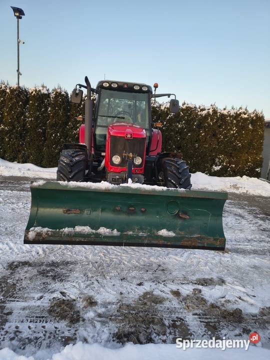 Massey Ferguson 6465 Grabów Szlachecki sprzedam