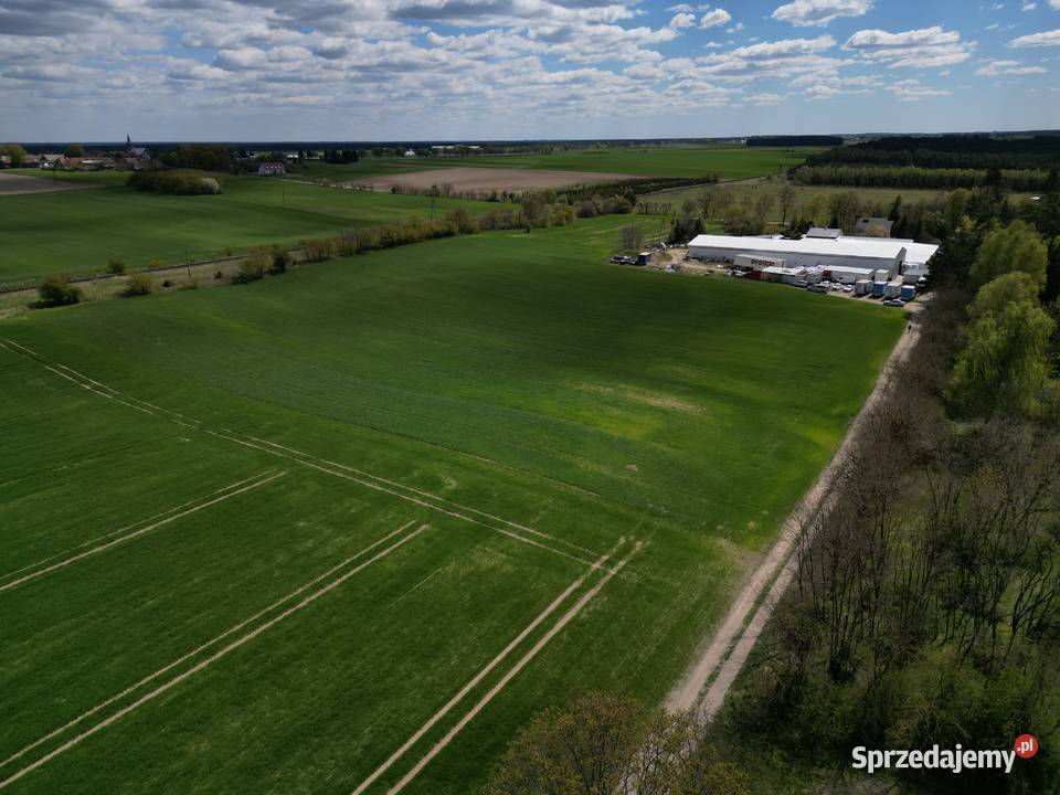 Działka z WZ lesie Rogoziniec 66210 inwestycyjna 25513m2 Sprzedaż