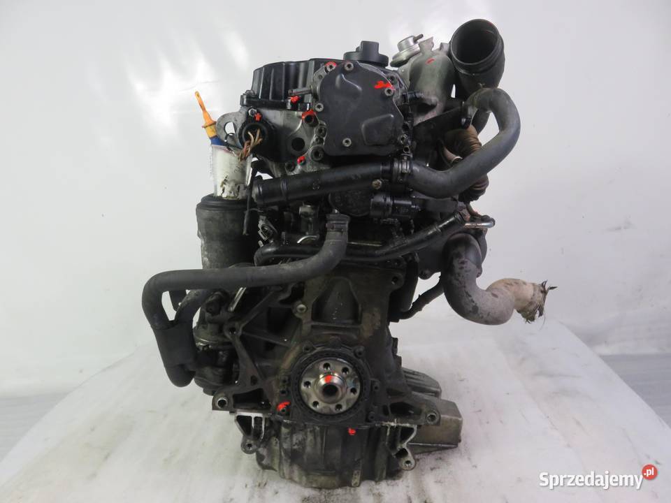 SILNIK SKODA FABIA I 14 TDI 70 BNM KOMPLETNY osobowe