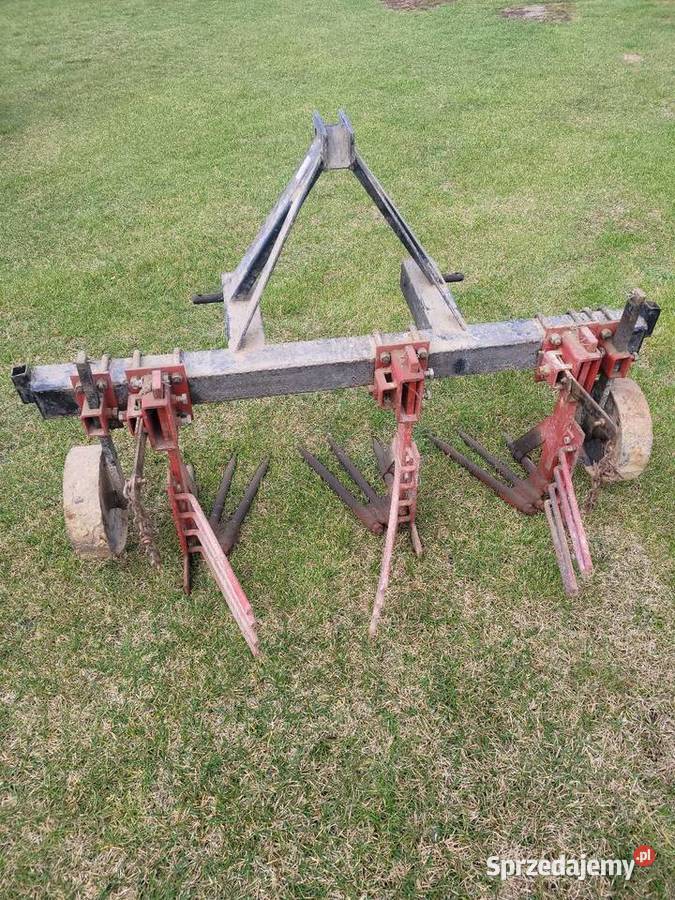 Wyorywacz do buraków ziemniaków warzyw lubelskie Zamość