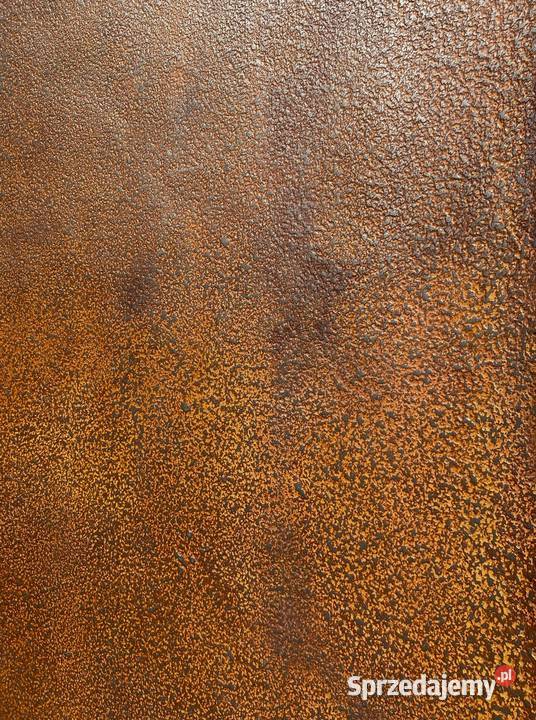 Kamień w Rolce CORTEN TERRA 280X122 mazowieckie Warszawa