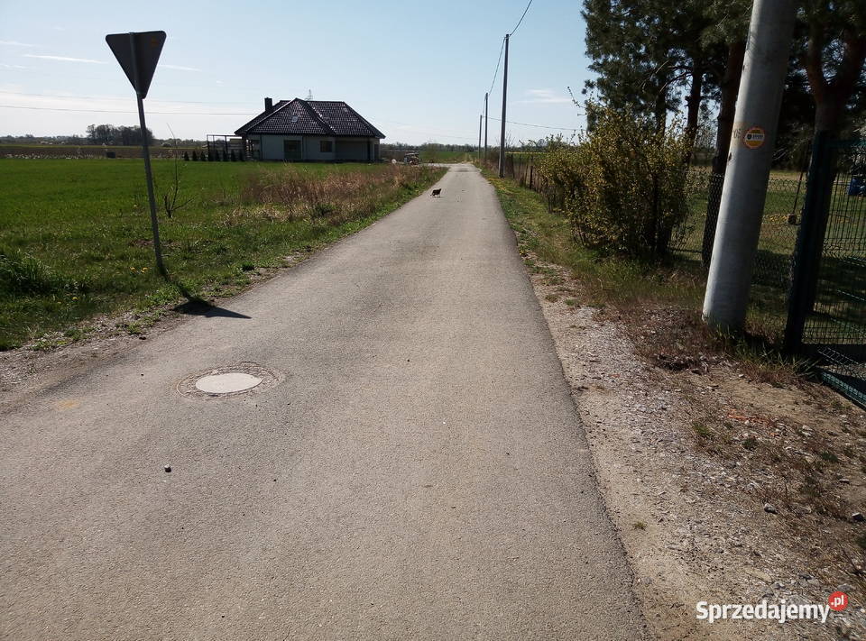 Myśliborzyce Działka budowlana 1000 m prąd