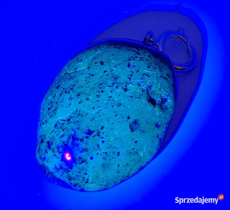 Zawieszka wisiorek z bursztynu BURSZTYN bałtycki