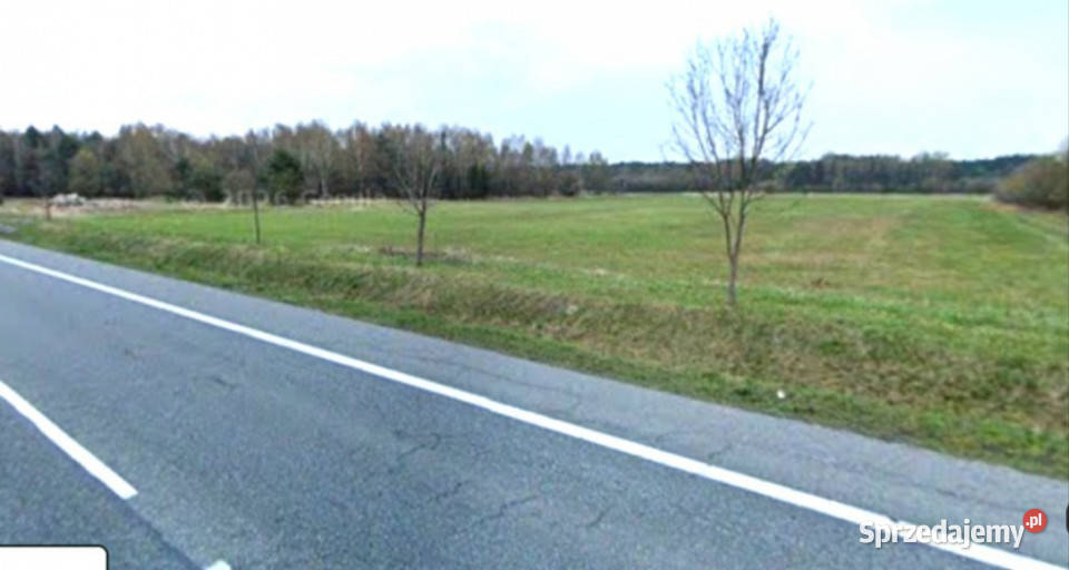 sprzedaż działka inwestycyjna 7899m2 Grodziec