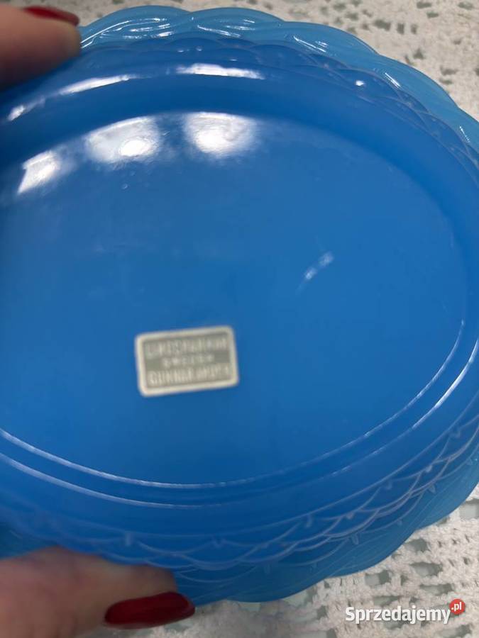 Kura w gnieździe Sędziejowice