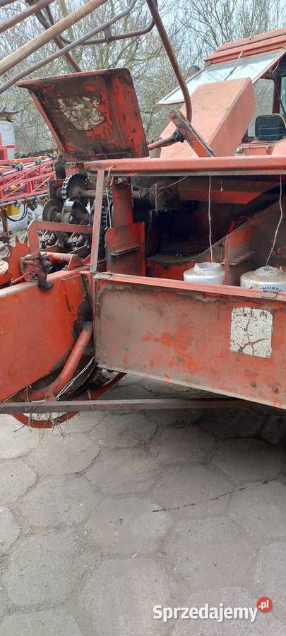 prasa Sipma łódzkie Załusin