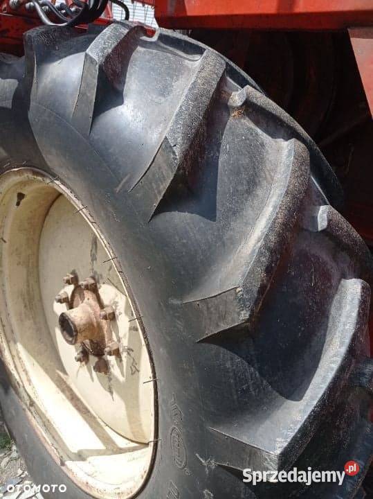 Bizon ZO56 Dobrzechów
