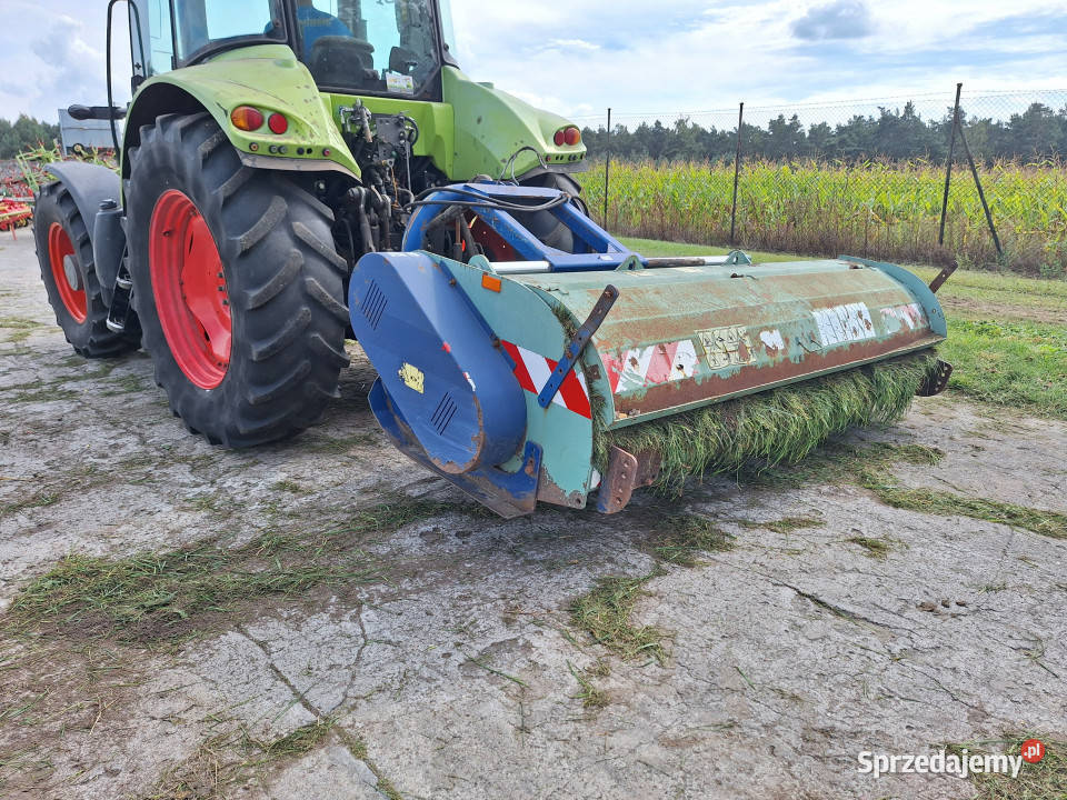 Mulczer Desvoys Szlachcin