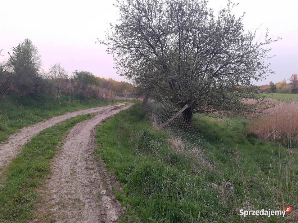 Działka budowana z dostępem do wody budowlana Łukta