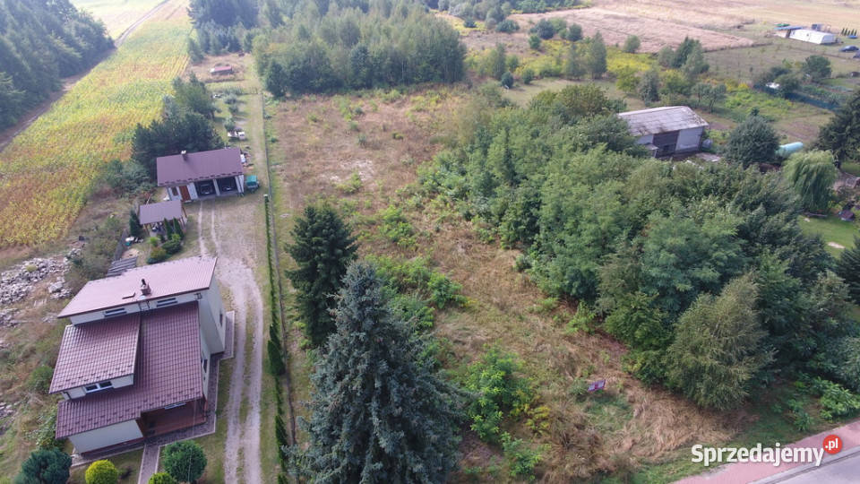 Działka Dąbrowica Ludwin 105 ar media budowlana Sprzedaż Dąbrowa