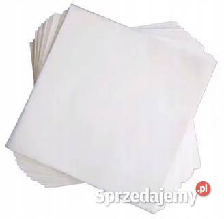 Bibuła Filtracyjna Jakościowa 75gm 450x560 100 Łódź