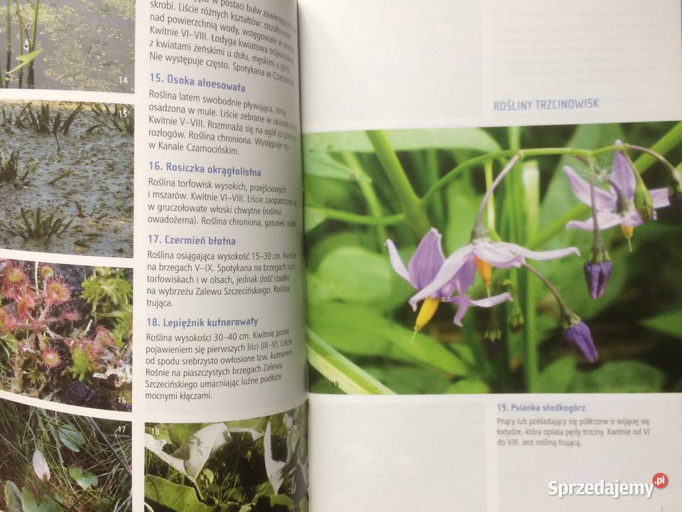 3645 Co Żyje Zalewem Szczecińskim Szczecin sprzedam