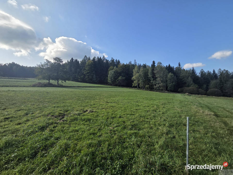 Działka 1550m2 Stryszawa Stryszawa kanalizacja