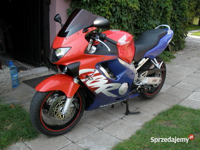 honda cbr 600 F4 99 Niedźwiedź