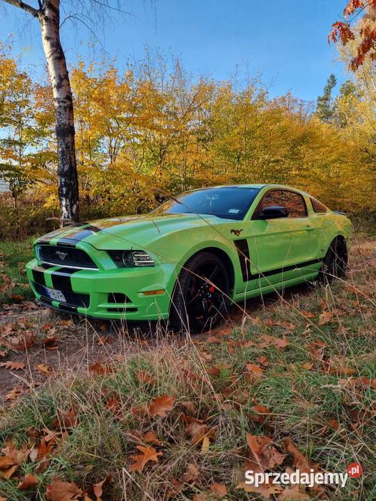 Mustang 5gen 14r 37 zamiana Mustang wielkopolskie