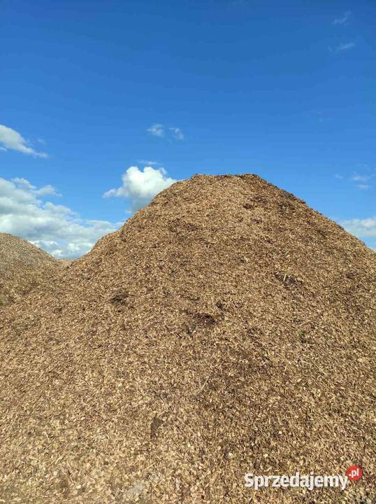 Zrębka wierzby energetycznej Dorohusk