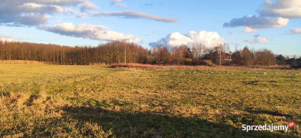 Działka rolna 98 arów z warunkami zabudowy 17 Kopanino