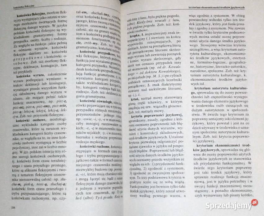 Szkolny słownik terminów o języku Jan Malczewski sprzedam