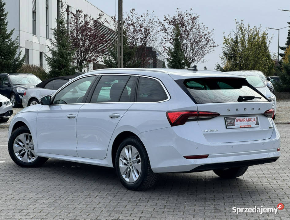 koda Octavia Suchy Las