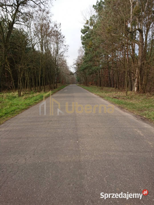 Działka Starzyce