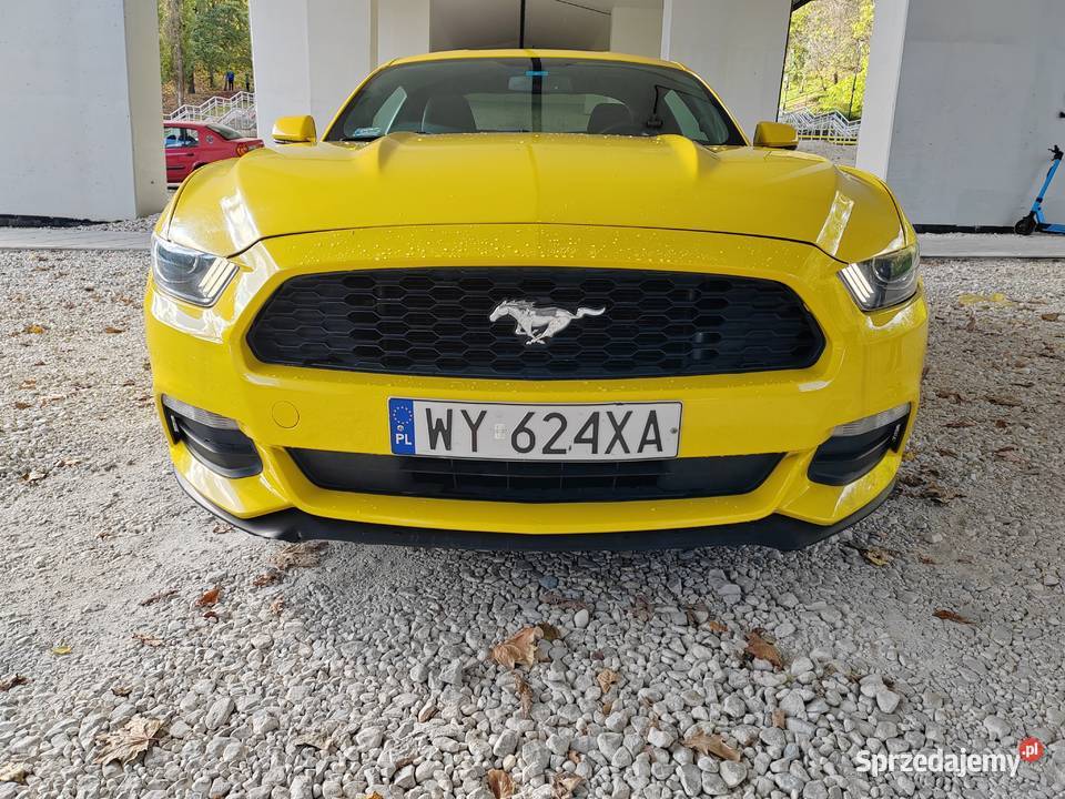Ford mustang 37 Warszawa