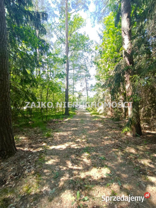 Do sprzedaży działka Nowinka 12445m2