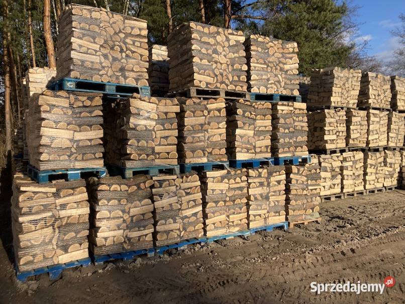 Suche Drewno Kominkowe Brzoza Warszawa Piaseczno mazowieckie