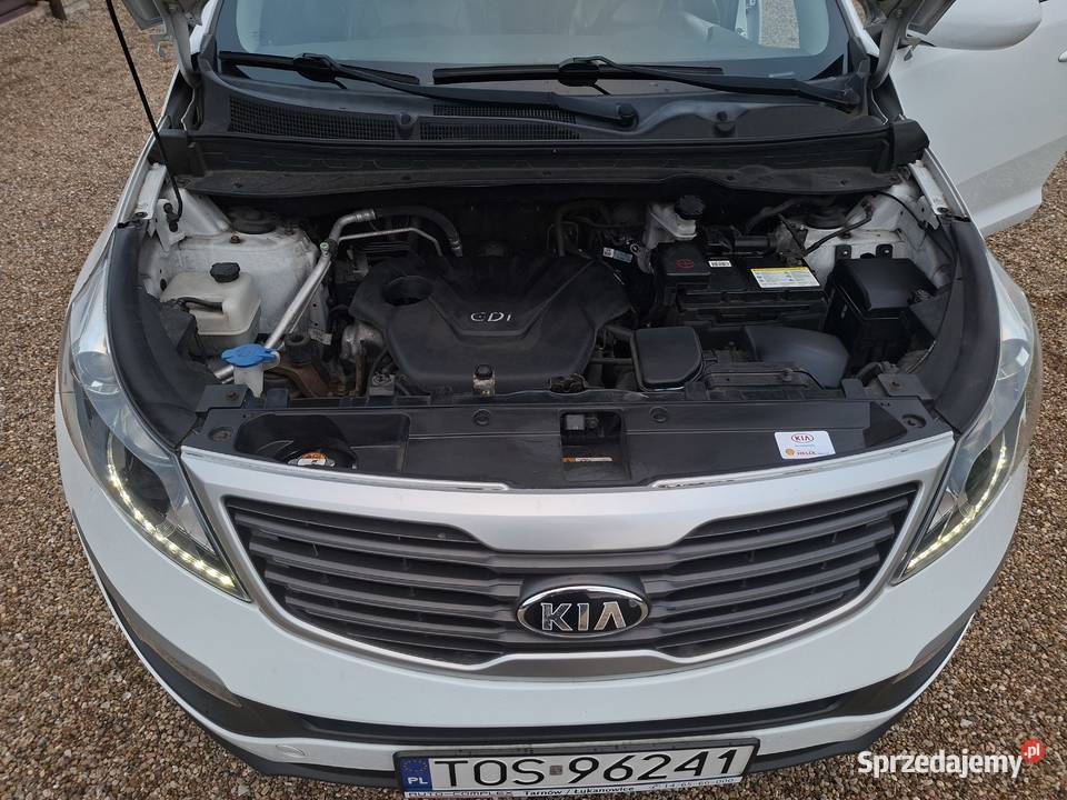 Kia Sportage Kia Sportage 2013r 16GDI 136 199000km Ostrowiec Świętokrzyski