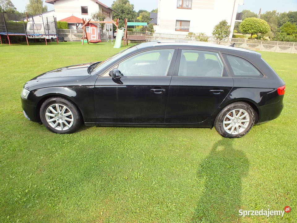 Audi A4 xenon led B8 Ładny ŚLĄSK Golasowice sprzedam