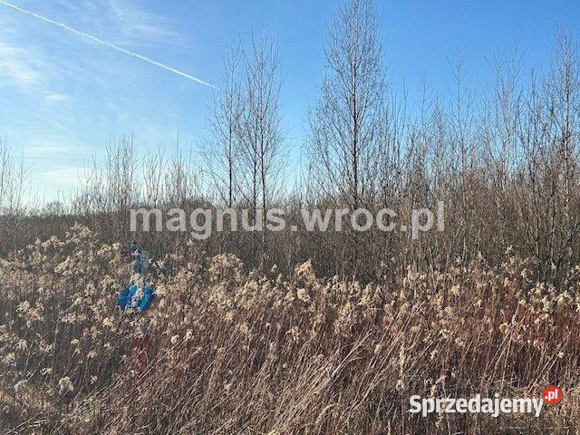 Oferuję działke inwestycyjną w Jerzmanowie Wrocław
