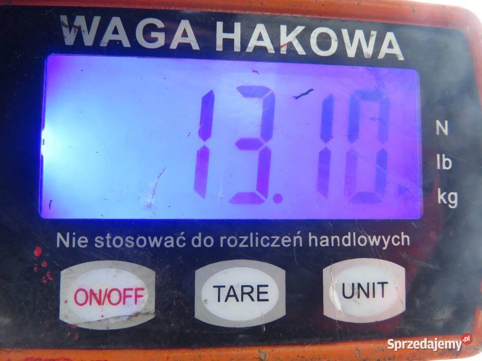 SANKI PRZÓD RENAULT MODUS GRAND MODUS 12 Belki zawieszenia sprzedam