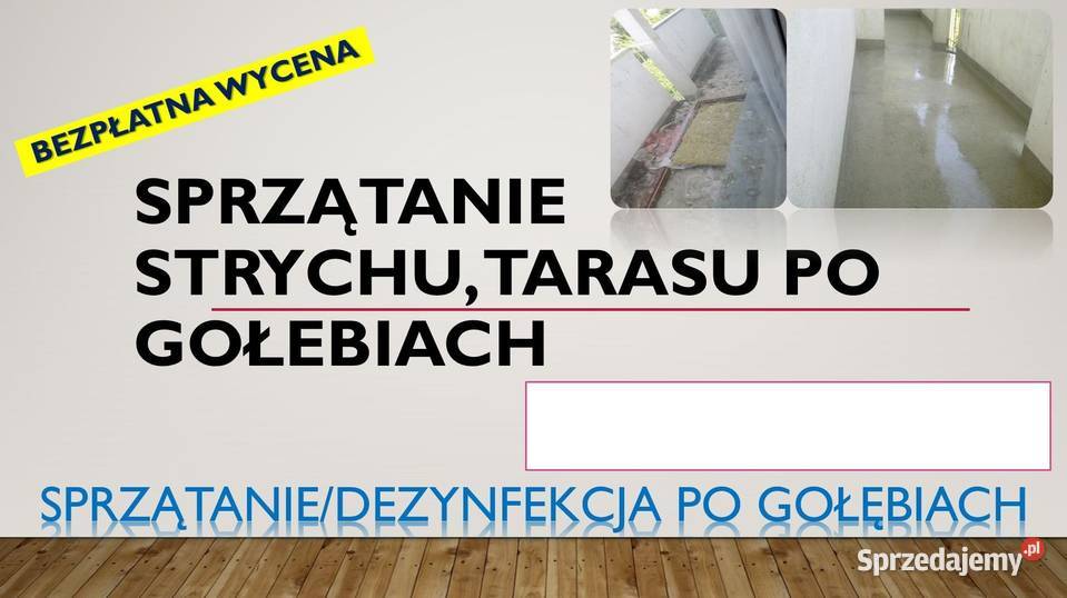 Sprzątanie strychu gołębich zanieczyszczeń dolnośląskie Wrocław
