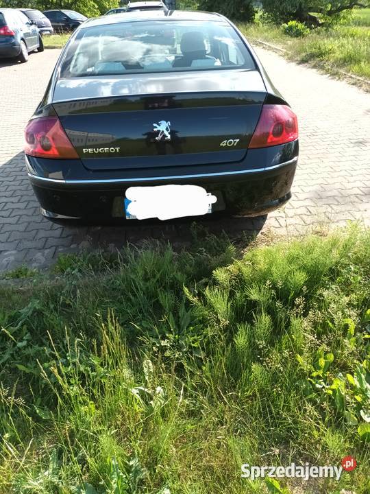 Sprzedam samochód Peugeot 407 2007 r bogate Płock