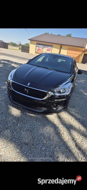 DS5 Zadbany Masanów