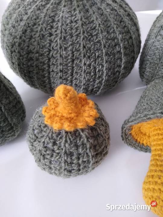 Dynia Dynie Pumpkin Family and Mushroom Set