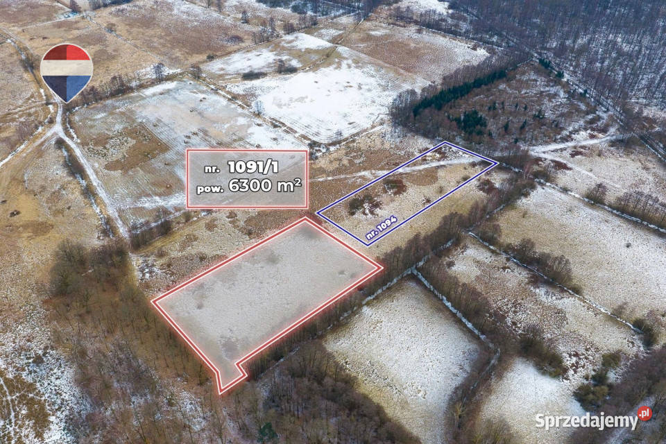 Działka rolna o pow 6300 m lubuskie Świdnica