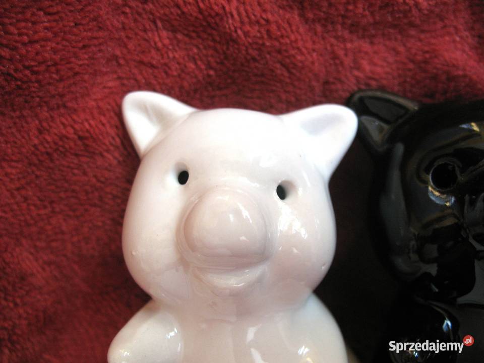 Pieprz i sól Świnki Pieprzniczka Solniczka wielokolorowy Siedlce