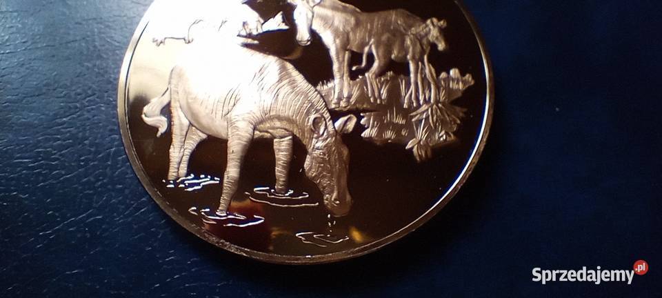 Stare monety Medal 226 Lesko