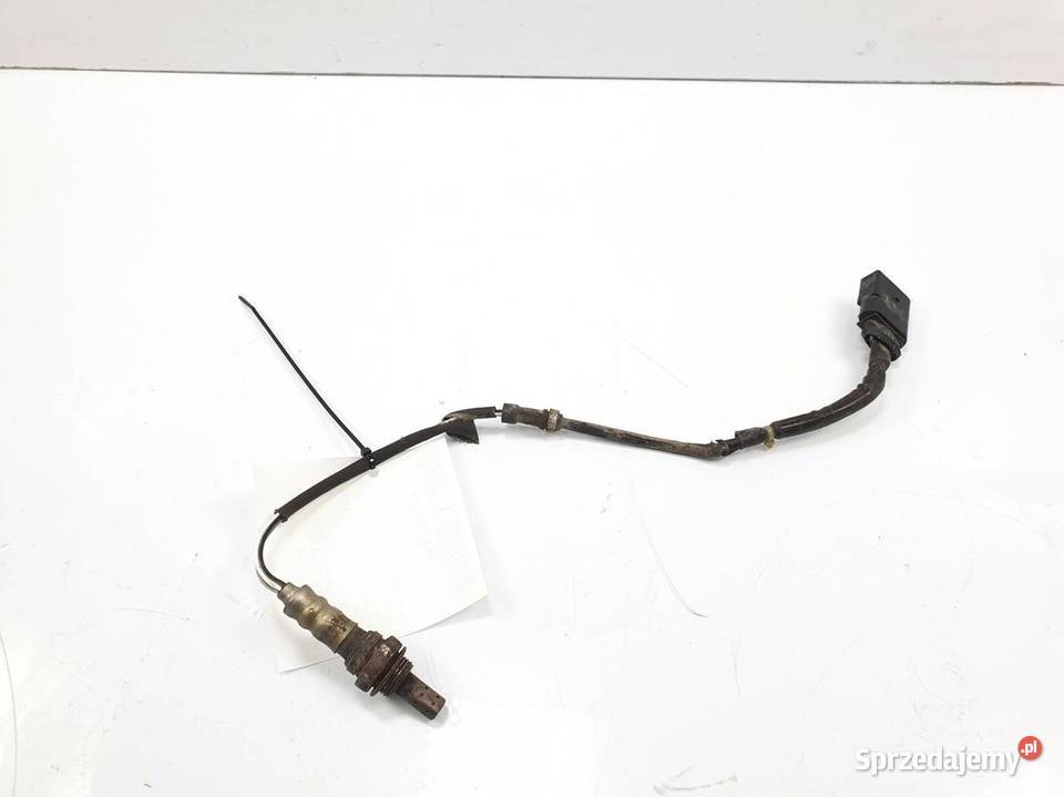 SONDA SEAT IBIZA IV SportTourer 036906262D osobowe kujawsko-pomorskie Lipno