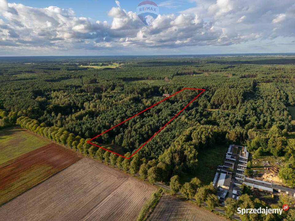 Działka rolna z możliwością WZ Sprzedaż wielkopolskie Jędrzejewo