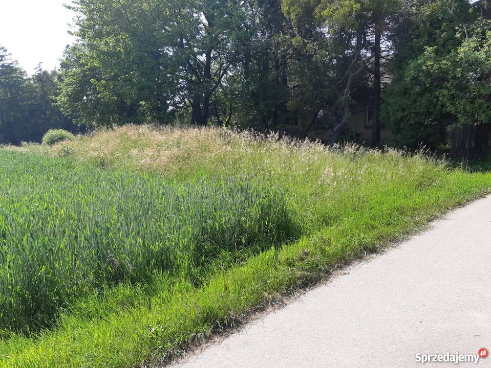 Działka rolna z domkiem 1887zł/m2 Kończyce Małe sprzedam