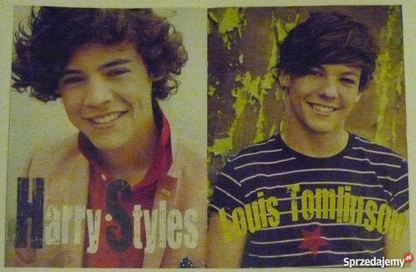 PLAKAT ZAYN MALIK LOUIS TOMLINSON HARRY STYLES Bydgoszcz