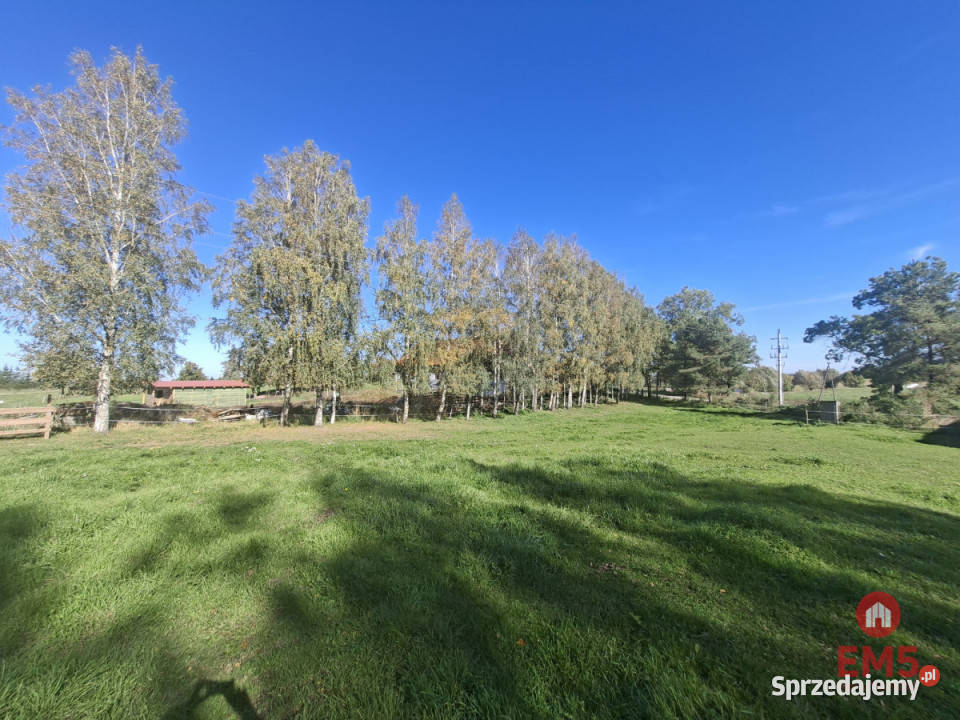 sprzedaży działki Pozezdrze 4800m2 Sprzedaż warmińsko-mazurskie sprzedam