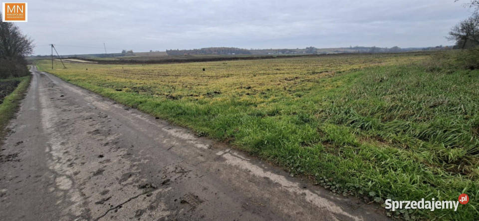 Grunt 1500m2 Kępa kanalizacja