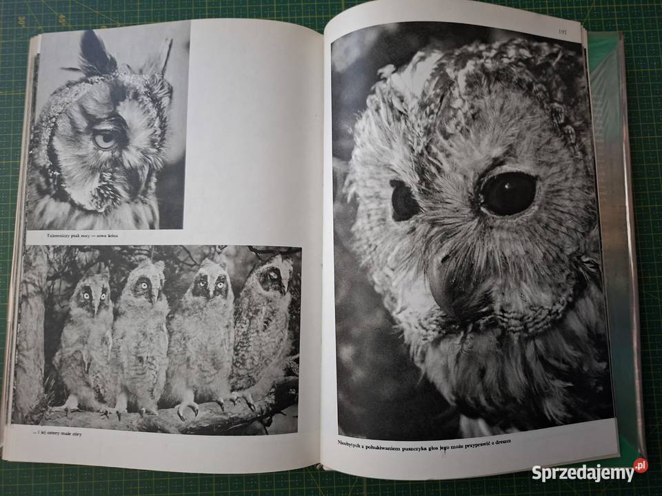 W krainie Czarnej Hańczy Włodzimierz Puchalski małopolskie