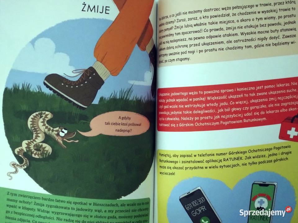 Bieszczady Przewodnik małych i dużych odkrywców Kultura i Rozrywka Warszawa