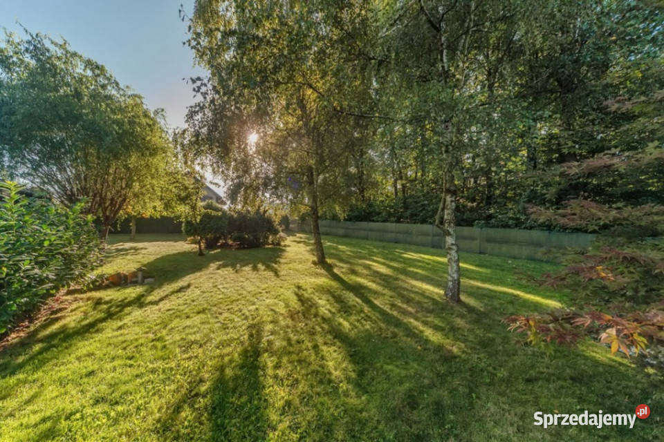 Elegancki dom z dużą działką 2648 m Pisarzowice Liczba pokoi 6 sprzedam