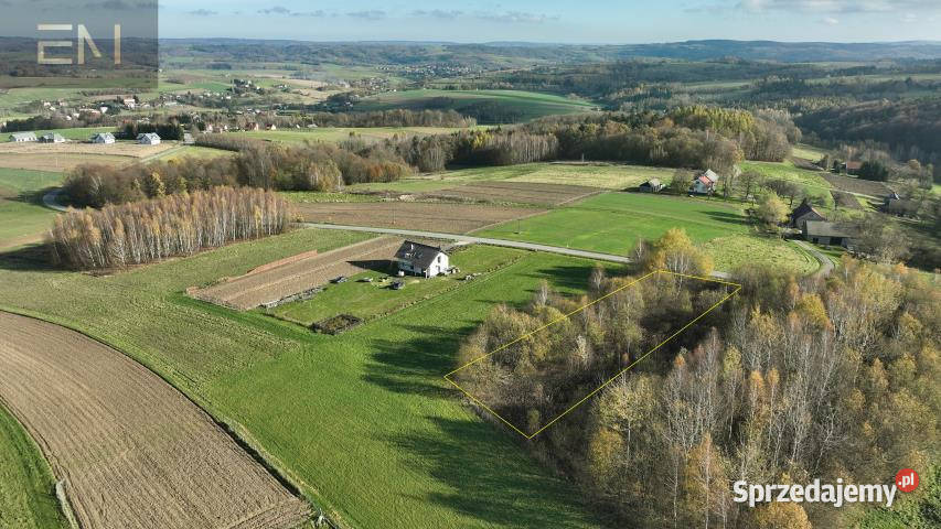 Działka do sprzedania Niewodna 1900m2 1900m2 sprzedam