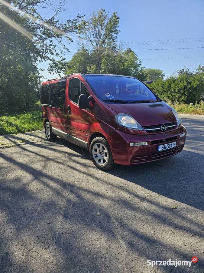 Opel Vivaro 19 Mełgiew